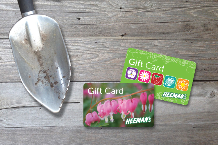 Heemans_GiftCards Heemans_GiftCards