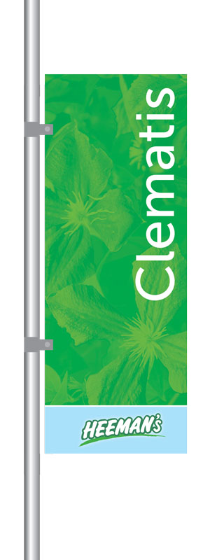 Heemans_sectionMarker